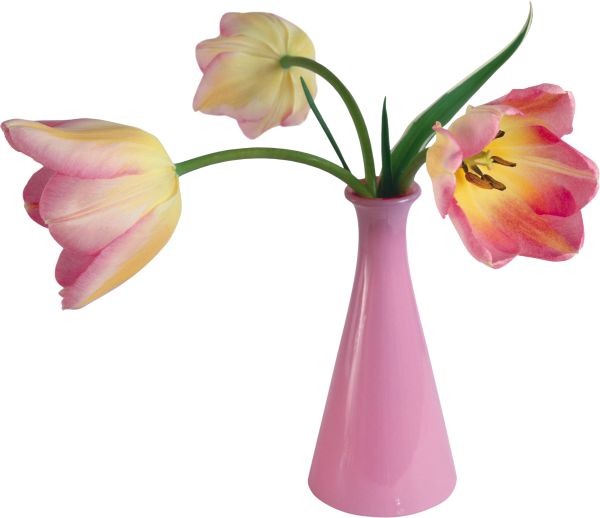 花瓶 PNG透明背景免抠图元素 16图库网编号:38428