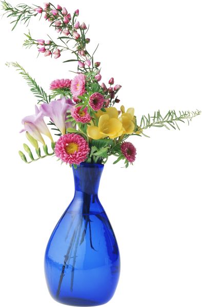花瓶 PNG透明背景免抠图元素 16图