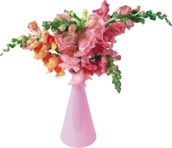 花瓶 PNG免抠图透明素材 16设计网编号:38362