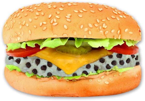 hamburger, burger PNG image Mac burger 图片编号:4154