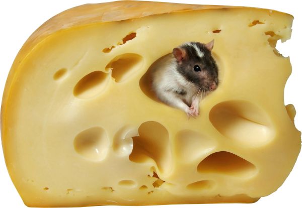 奶酪PNG透明元素免抠图素材 16素材网编号:97079