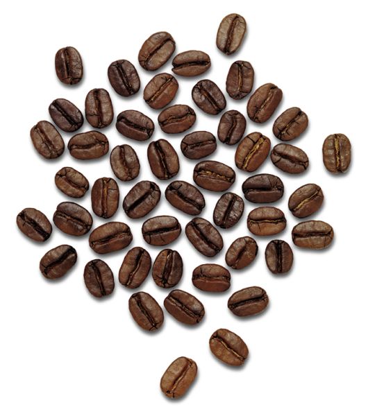 咖啡豆PNG免抠图透明素材 普贤居素材编号:9283