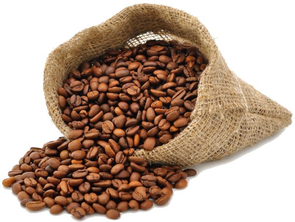 咖啡豆PNG透明背景免抠图元素 16图库网编号:9284