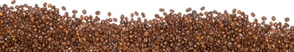 咖啡豆PNG透明背景免抠图元素 素材中国编号:9293