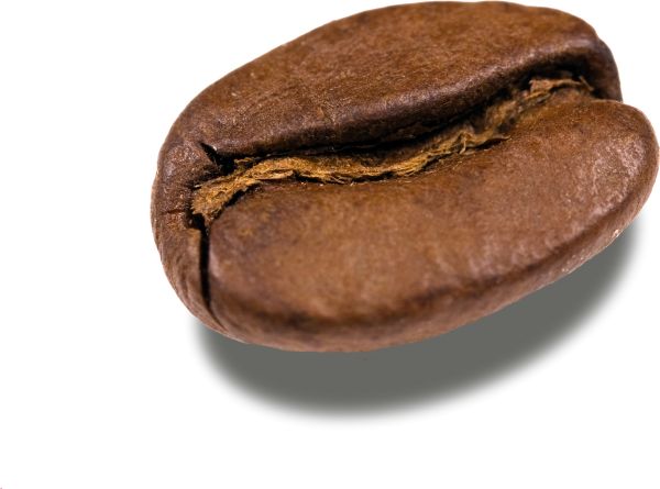 咖啡豆 PNG透明背景免抠图元素 16图库网编号:97295