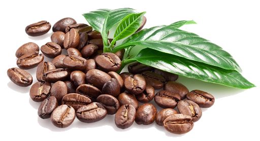咖啡豆 PNG免抠图透明素材 16设计网编号:97311