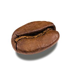 咖啡豆 PNG免抠图透明素材 16设计网编号:97315