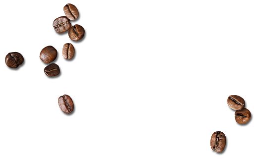 咖啡豆 PNG免抠图透明素材 16设计