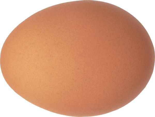 鸡蛋PNG免抠图透明素材 普贤居素材编号:4470