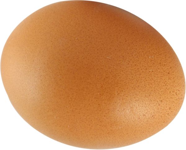 鸡蛋PNG免抠图透明素材 16设计网编号:4471