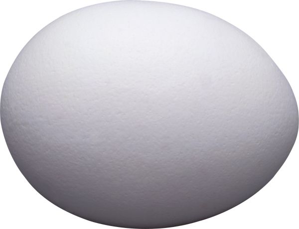 鸡蛋PNG免抠图透明素材 16设计网编号:4475