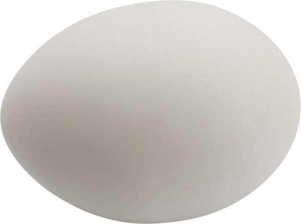 鸡蛋PNG免抠图透明素材 普贤居素材编号:4478