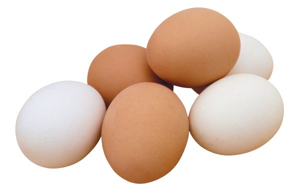 鸡蛋PNG免抠图透明素材 16设计网编号:4483