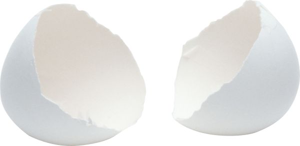 碎鸡蛋PNG透明元素免抠图素材 16素材网编号:4462
