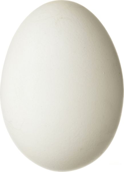 鸡蛋 PNG免抠图透明素材 16设计网编号:40777