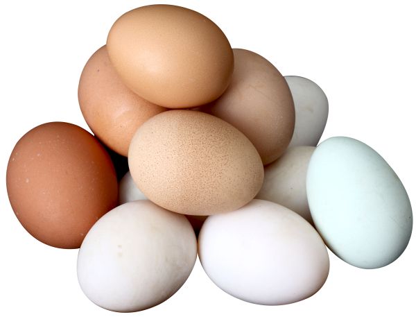 鸡蛋 PNG免抠图透明素材 16设计网编号:40792