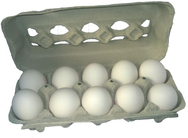 鸡蛋 PNG免抠图透明素材 16设计网编号:40807
