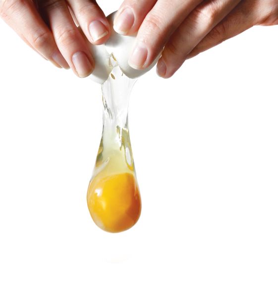 鸡蛋 PNG透明元素免抠图素材 16素材网编号:40809