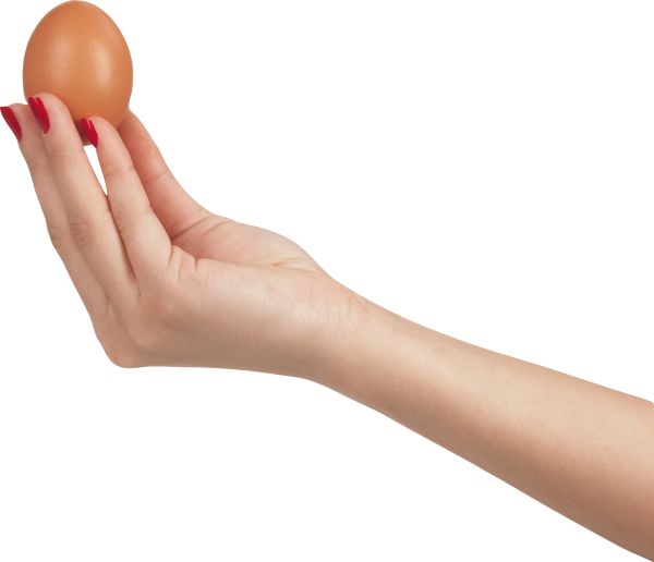 鸡蛋在手PNG免抠图透明素材 16设计网编号:4499