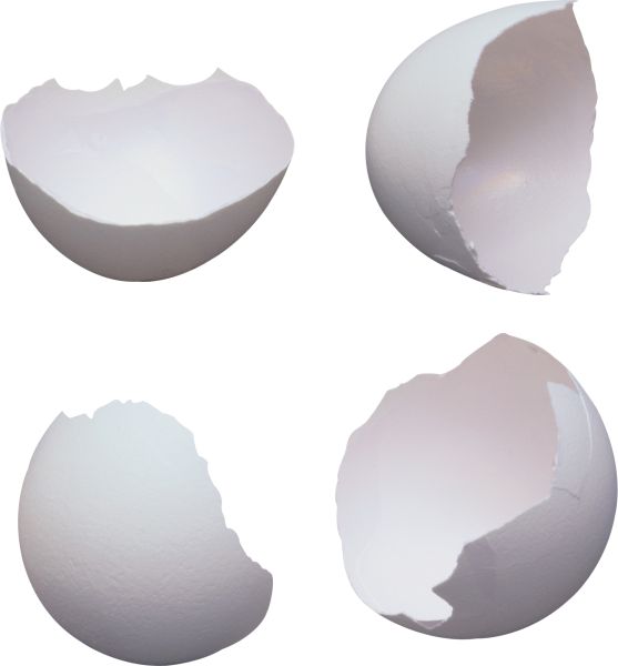 碎鸡蛋PNG透明背景免抠图元素 16图库网编号:4464