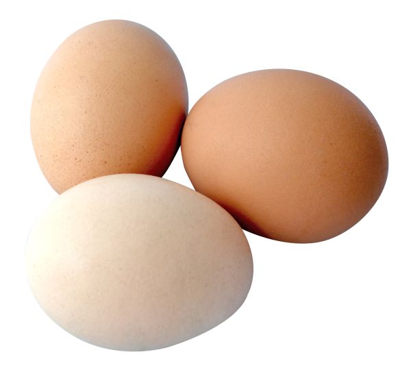鸡蛋 PNG透明背景免抠图元素 16图库网编号:97943