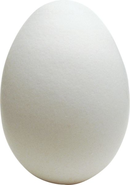 鸡蛋 PNG透明背景免抠图元素 16图库网编号:97953