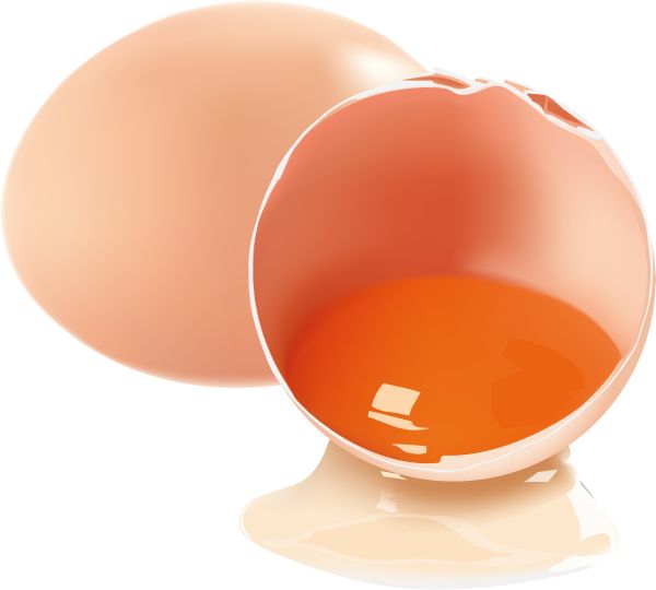 鸡蛋 PNG免抠图透明素材 普贤居素材编号:97965