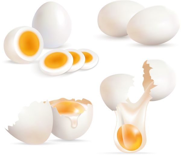 鸡蛋 PNG透明背景免抠图元素 16图库网编号:97966