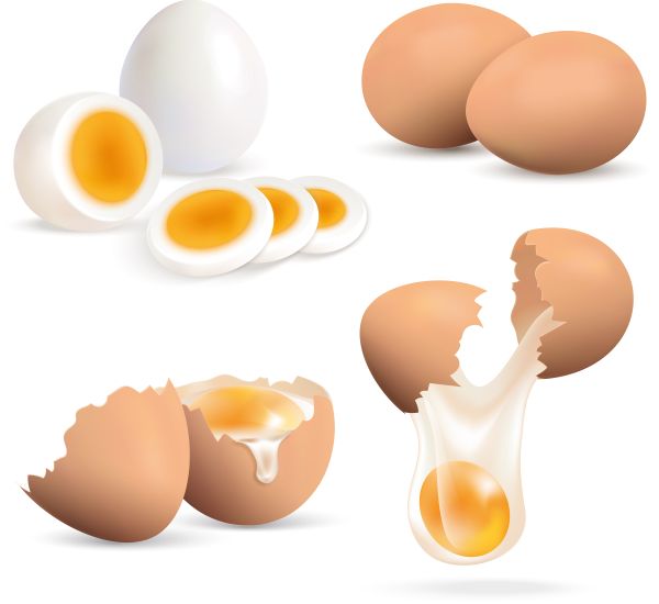 鸡蛋 PNG透明元素免抠图素材 16素材网编号:97967
