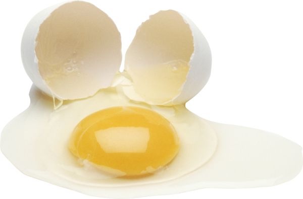 鸡蛋 PNG免抠图透明素材 16设计网编号:97972