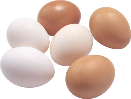 鸡蛋 PNG透明元素免抠图素材 16素