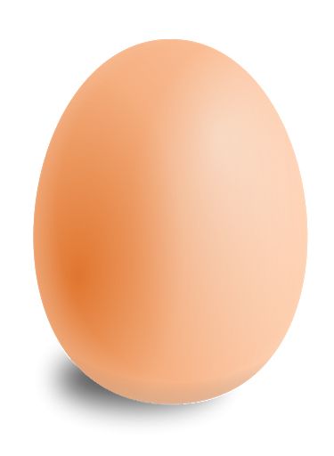 鸡蛋 PNG透明背景免抠图元素 16图
