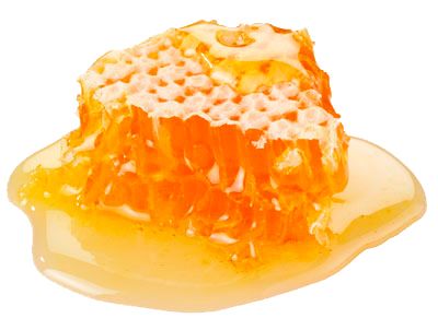 蜂蜜PNG免抠图透明素材 16设计网编号:11560