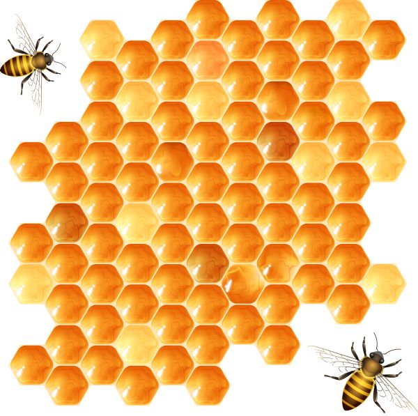 蜂蜜PNG免抠图透明素材 16设计网编号:86250