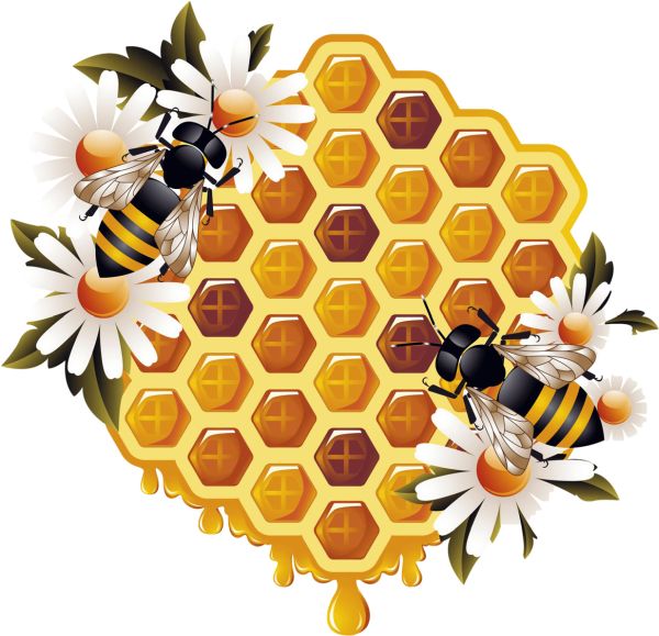 蜂蜜PNG免抠图透明素材 16设计网编号:86254