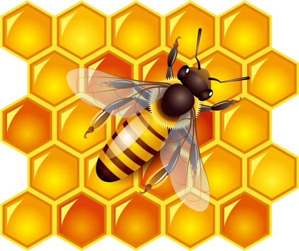 蜂蜜PNG免抠图透明素材 16设计网编号:86271