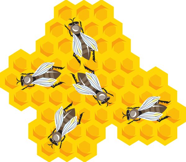 蜂蜜PNG免抠图透明素材 素材天下编号:86278