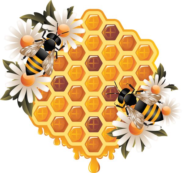 蜂蜜PNG免抠图透明素材 16设计网编号:86323