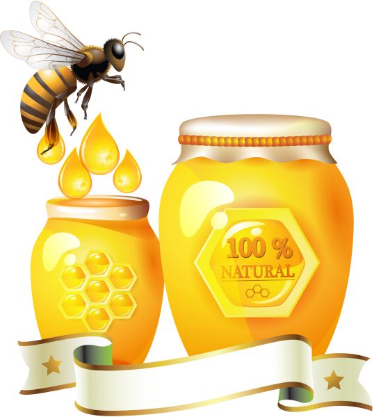 蜂蜜PNG免抠图透明素材 16设计网编号:86324
