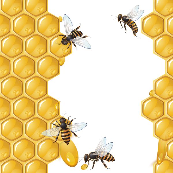 蜂蜜PNG透明背景免抠图元素 16图库网编号:86339