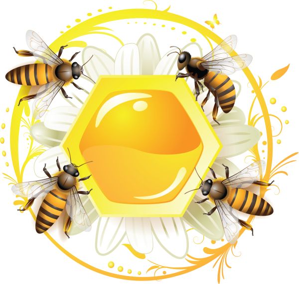 蜂蜜PNG透明元素免抠图素材 16素材网编号:86343