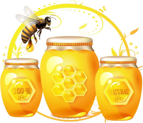 蜂蜜PNG透明背景免抠图元素 素材中