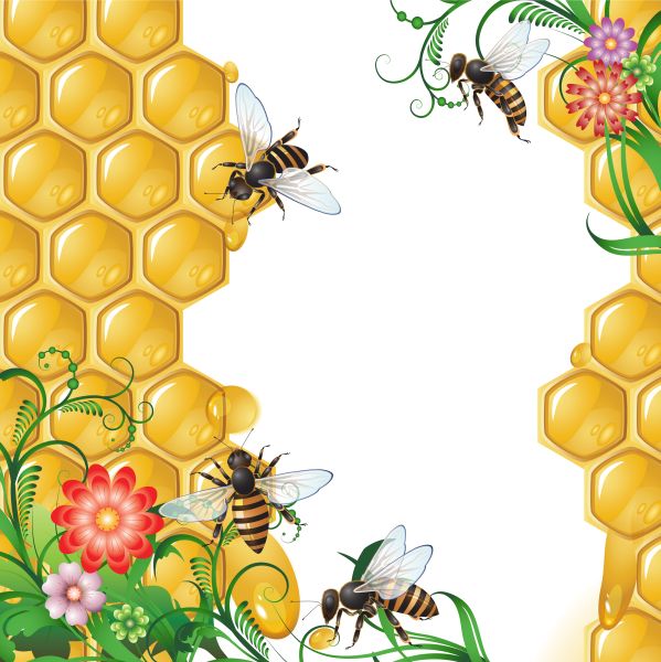 蜂蜜PNG透明元素免抠图素材 16素材