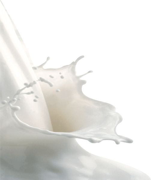 牛奶飞溅PNG透明元素免抠图素材 16素材网编号:12688