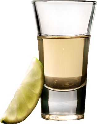 龙舌兰酒 PNG免抠图透明素材 素材