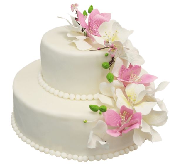 婚礼蛋糕PNG透明背景免抠图元素 16图库网编号:99024