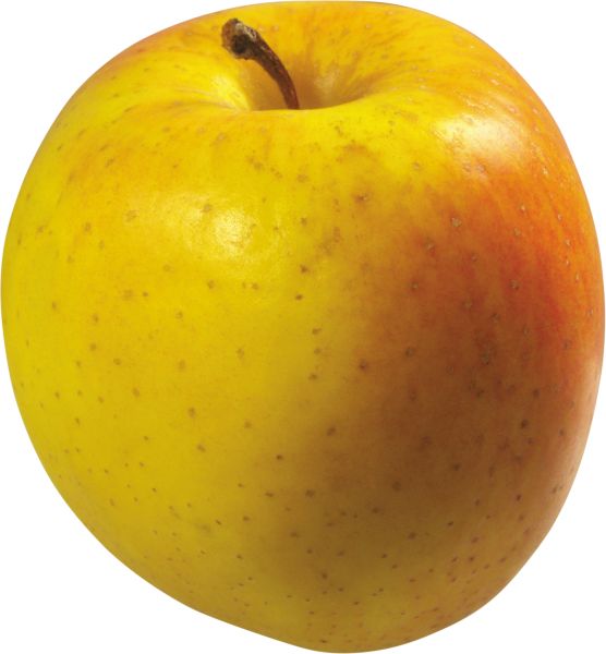 黄色苹果 PNG免抠图透明素材 素材天下编号:12495