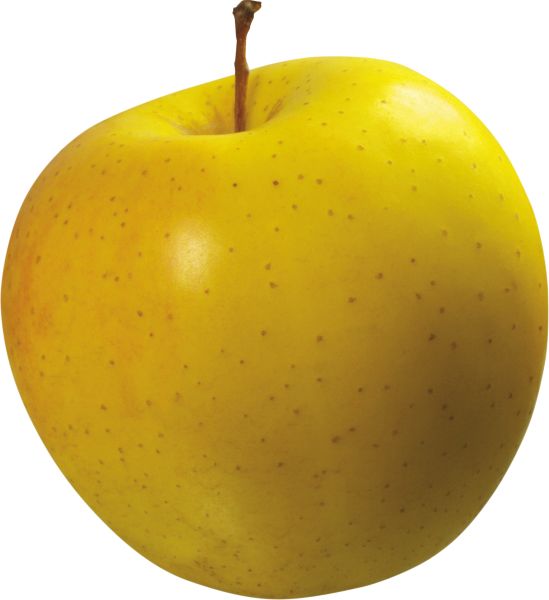 黄色苹果 PNG免抠图透明素材 素材天下编号:12496