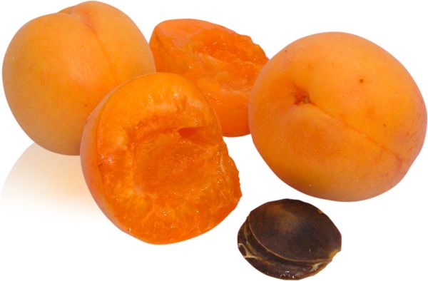 橙杏 PNG透明元素免抠图素材 16素材网编号:104225