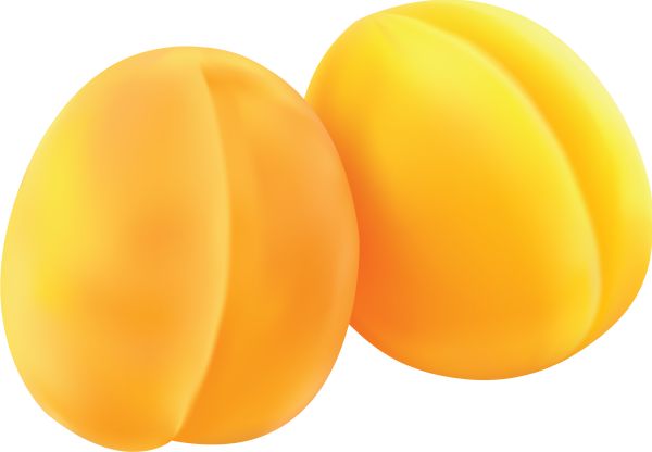 两个黄杏 PNG透明背景免抠图元素 1